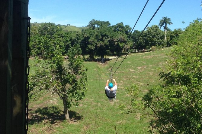 Puerto Plata Zipline Adventure - Timing, cruise-port planning, and cancellations