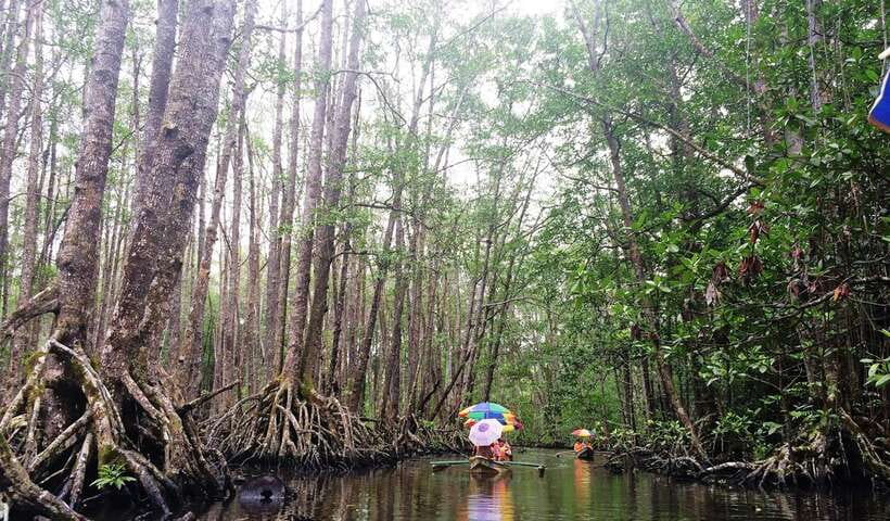 Puerto Princesa: Underground River, Zipline, Paddleboat Tour - Who should book this day trip?