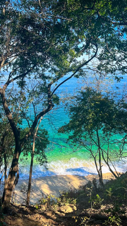 Puerto Vallarta: Hiking Trail, 6 Hidden Beaches & Zipline. - What to bring for a smoother day