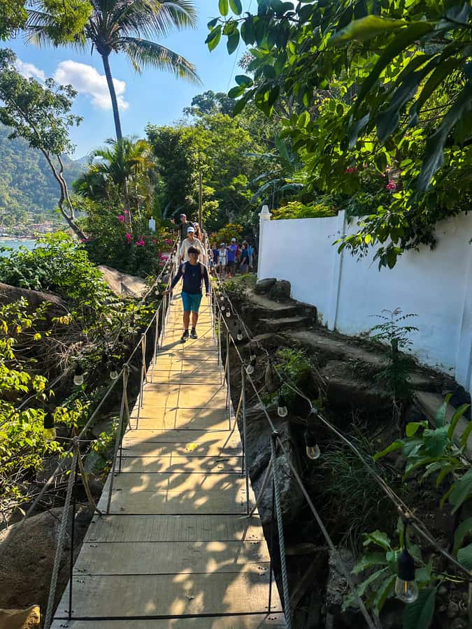 Puerto Vallarta: Hiking Trail, 6 Hidden Beaches & Zipline. - Why this day is more than a beach trip