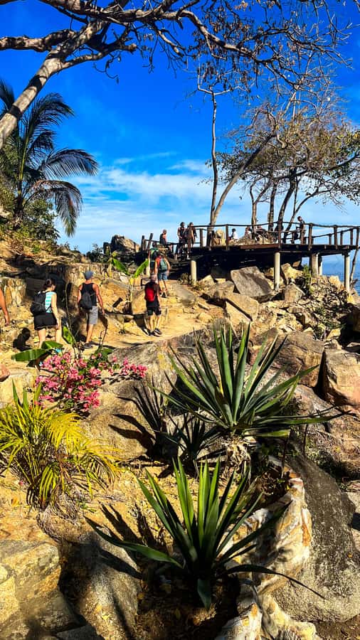 Puerto Vallarta: Hiking Trail, 6 Hidden Beaches & Zipline. - Returning by water taxi to Boca de Tomatlán