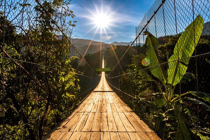 Puerto Vallarta Zipline, Mule ride and Jorullo Bridge Walking - The Mule Ride Back Up the Canyon