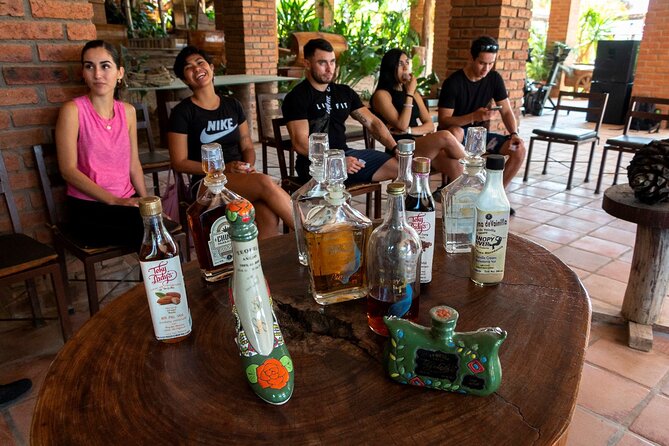 Puerto Vallarta Zipline, Mule ride and Jorullo Bridge Walking - Practical Tips for a Better Day