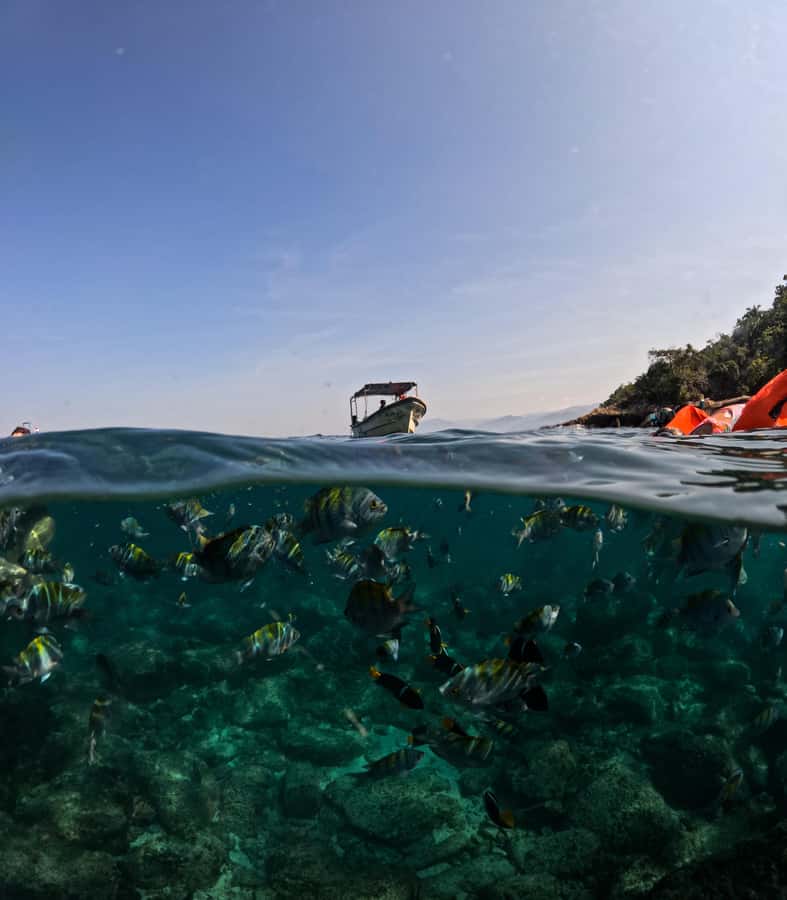 Puerto Vallarta: Zipline Tour, Snorkel & Secret Beach Escape - Key points at a glance