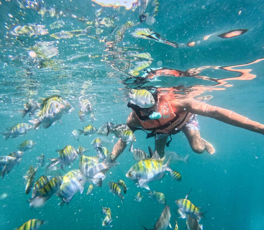 Puerto Vallarta: Zipline Tour, Snorkel & Secret Beach Escape - More than three hours at Las Ánimas Beach