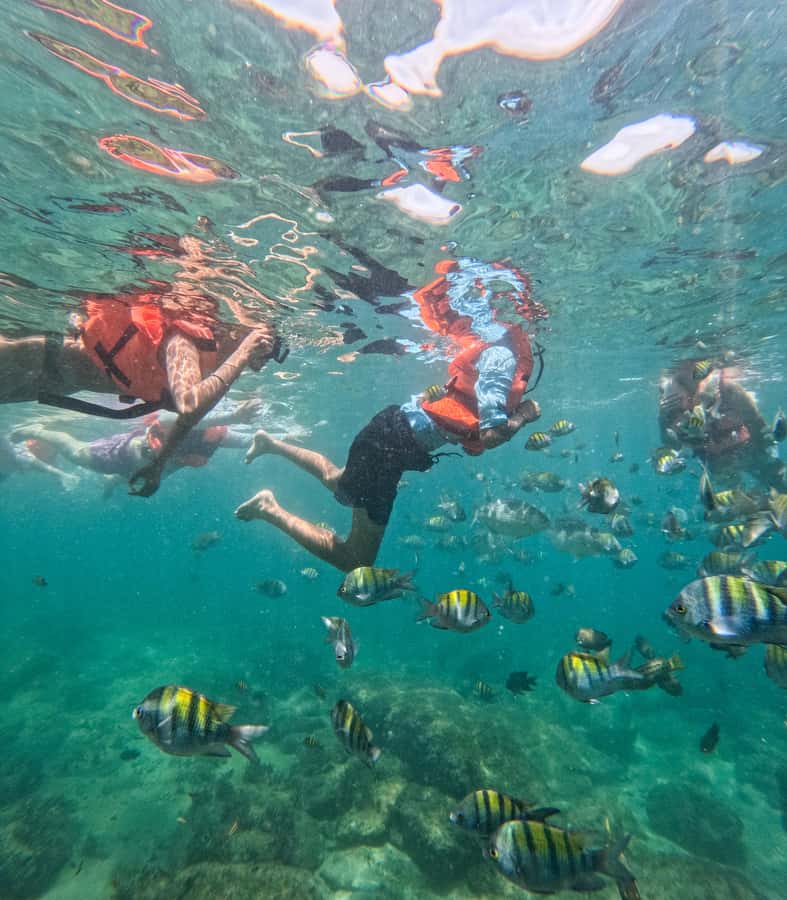 Puerto Vallarta: Zipline Tour, Snorkel & Secret Beach Escape - The return boat and what the timing means