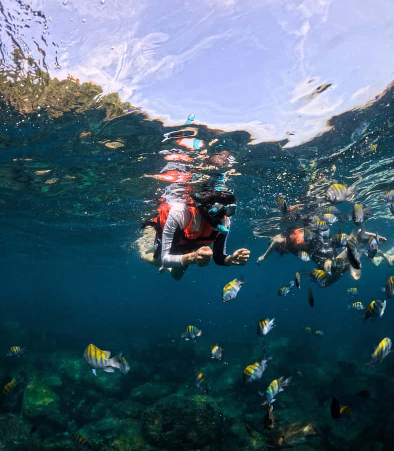 Puerto Vallarta: Zipline Tour, Snorkel & Secret Beach Escape - Is the $54 price good value?