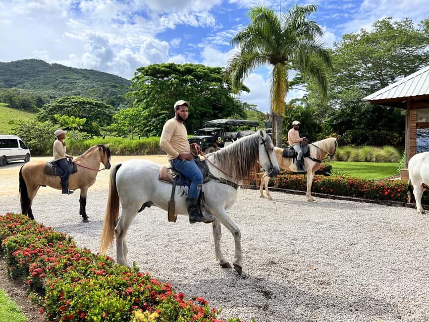 Punta Cana: Buggy and Zipline Adventure at La Hacienda - What your $99 buys at La Hacienda