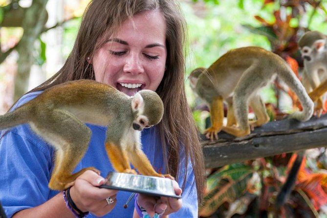Punta Cana Monkeyland and Zipline Two Adventures in One Day - The Coconut House, lunch, and local products