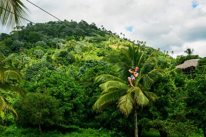Punta Cana Monkeyland and Zipline Two Adventures in One Day - Practical tips for a smoother day