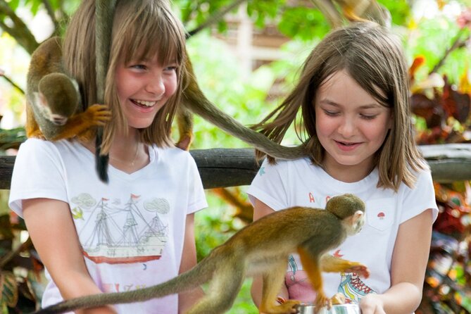 Punta Cana Monkeyland and Zipline Two Adventures in One Day - Hotel pickup through the Dominican countryside