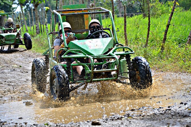 Punta Cana Zip Line, horse riding & Buggy - Key points before you book