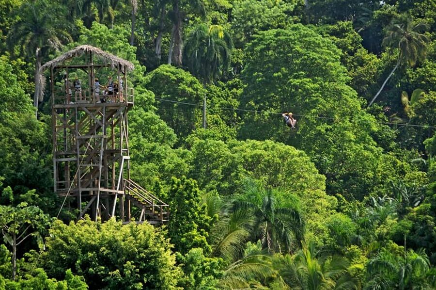 Punta Cana: Zip-Lining 12 Cables - Guides who keep the nerves under control