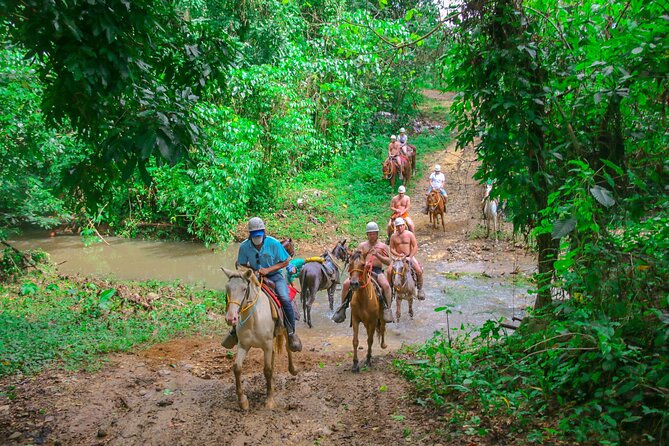 Punta Cana Zipline Adventure with Buggies and Horseback Riding - A short horseback ride with Dominican flavors