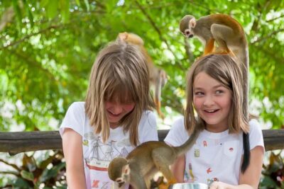 Ziplines Adventures & Monkeyland Entry