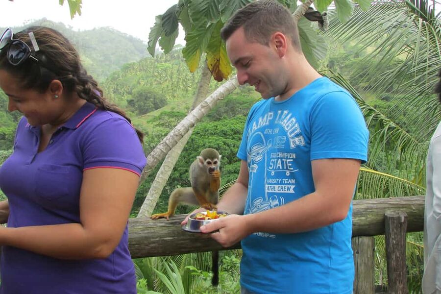 Punta Cana: Ziplines Adventures & Monkeyland Entry - Who should book this Punta Cana excursion?