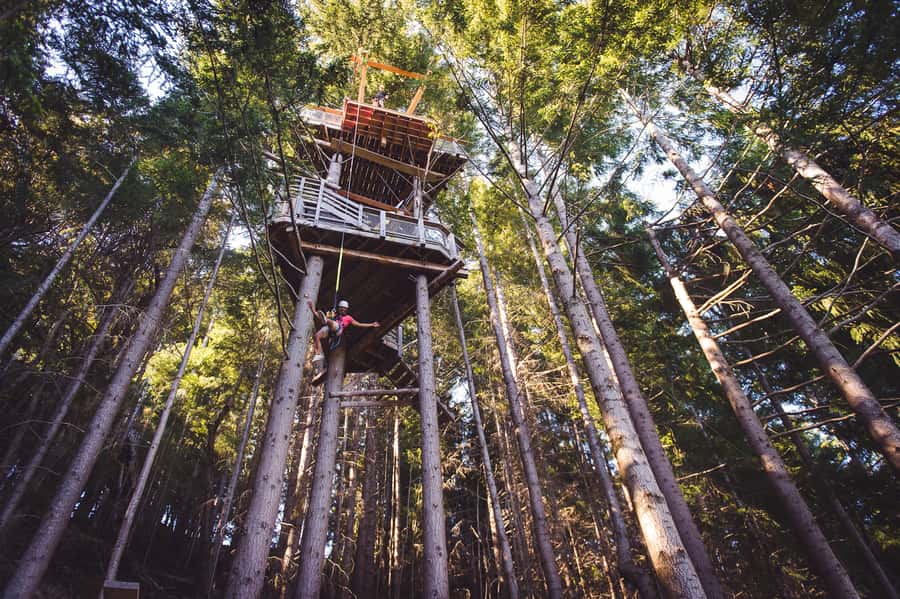 Queenstown: 1-Hour Zipline Tour with 2-Lines & 21-Meter Drop - Is one hour enough for the price?