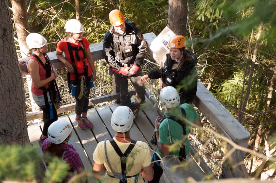 Queenstown: 3-Hour Zipline Adventure with 6-Lines - Six things to know before you book