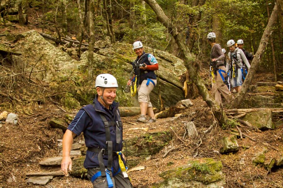 Queenstown: 3-Hour Zipline Adventure with 6-Lines - Starting above Queenstown at Bob’s Peak