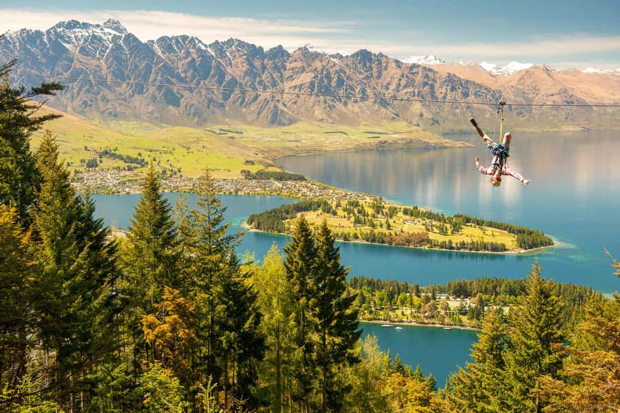 Queenstown: 3-Hour Zipline Adventure with 6-Lines - Native beech forest, views, and local stories