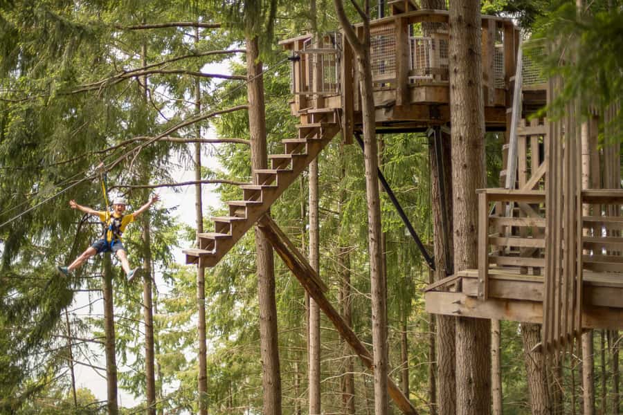 Queenstown: 3-Hour Zipline Adventure with 6-Lines - Six ziplines that build confidence