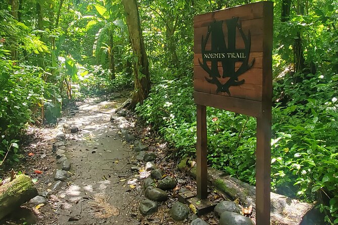 Rainforest and Junglequi Zipline Combo Tour - The nature walk and weather-dependent pool stop