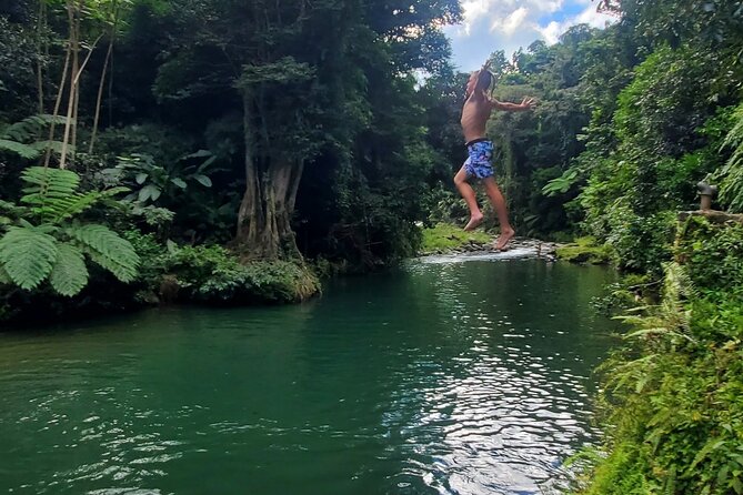Rainforest and Junglequi Zipline Combo Tour - Is $200 a fair price?