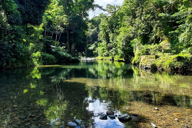 Rainforest and Junglequi Zipline Combo Tour - Getting ready at Junglequí Zipline Park