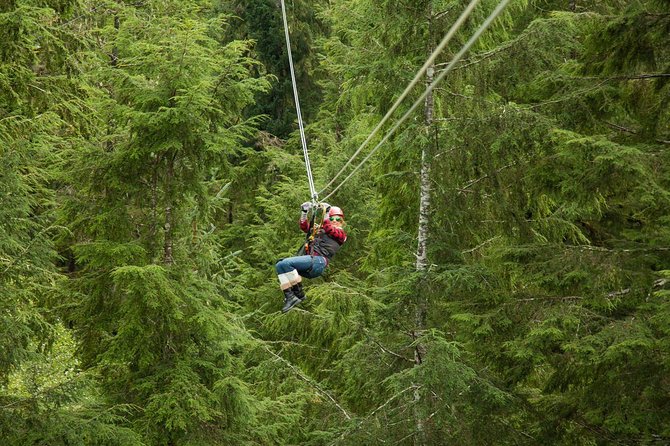 Rainforest Canopy & Zipline Adventure in Ketchikan, AK - Key points to know before you book