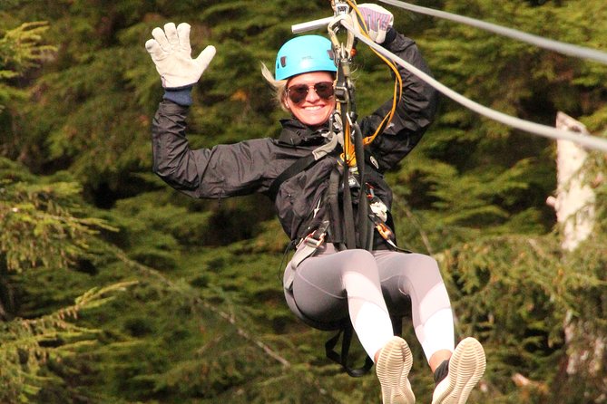 Rainforest Canopy & Zipline Adventure in Ketchikan, AK - Eight lines through the Tongass canopy