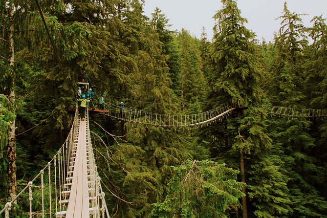 Rainforest Canopy & Zipline Adventure in Ketchikan, AK - Alaska Rainforest Sanctuary: more than a ride