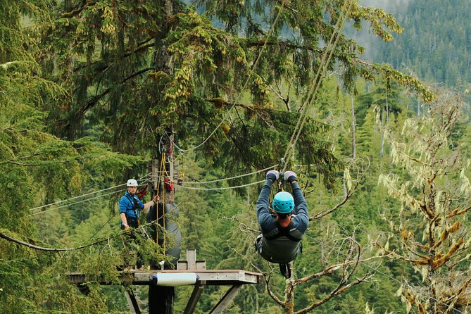 Rainforest Canopy & Zipline Adventure in Ketchikan, AK - Tongass National Forest: the setting makes the difference