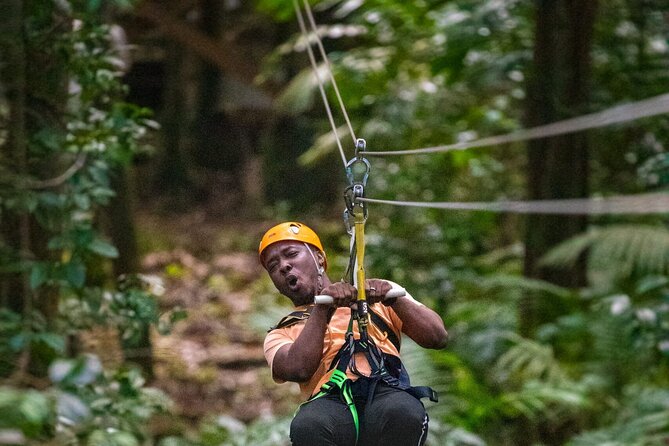 Rainforest Rush: St. Lucia Zip Line Adventure - Quick takeaways from the rainforest course