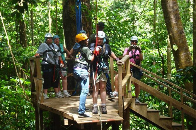 Rainforest Rush: St. Lucia Zip Line Adventure - Eight zip lines through the St. Lucia treetops