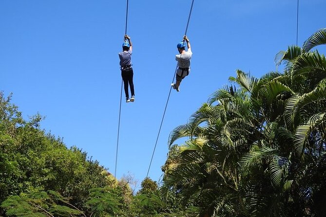 Rainforest Zipline in Foothills of the National Rainforest - Moving through the rainforest between rides