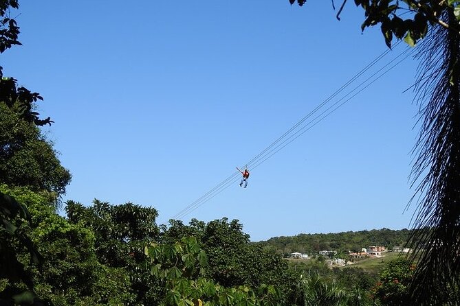 Rainforest Zipline in Foothills of the National Rainforest - Who should book this activity?