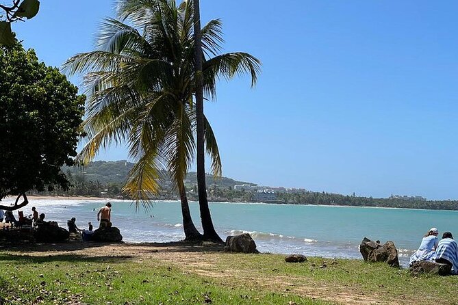 Rainforest Zipline, Luquillo Beach, and Natural Springs Day Trip - Is $199.99 a fair price?