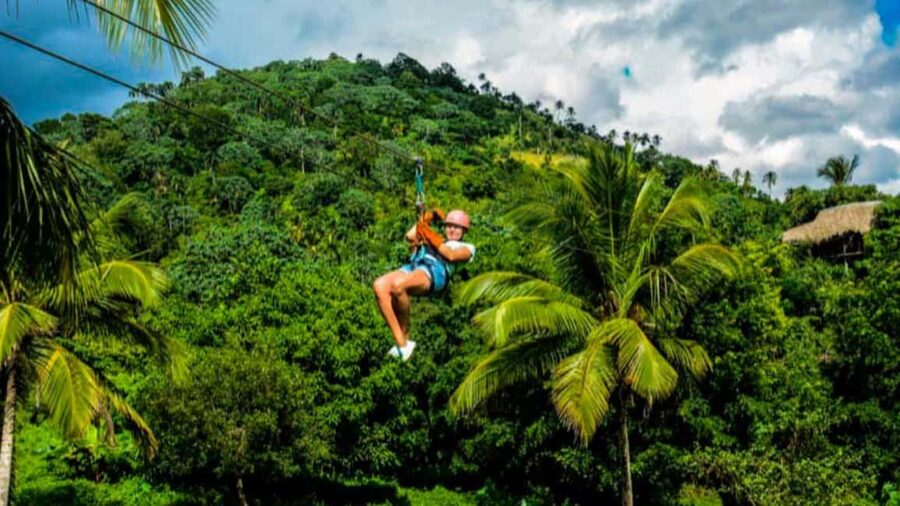 Rainforest Ziplining Adventure - Key Points Before You Book