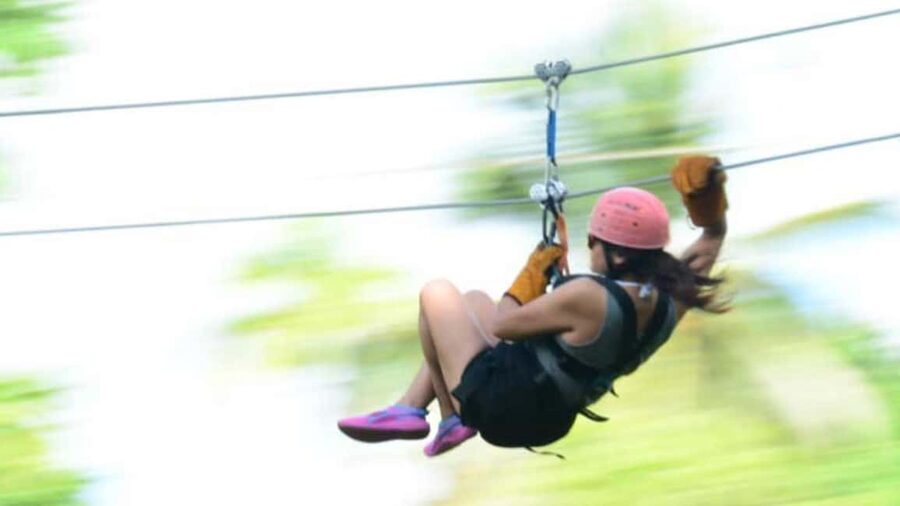 Rainforest Ziplining Adventure - Should You Book the Rainforest Ziplining Adventure?