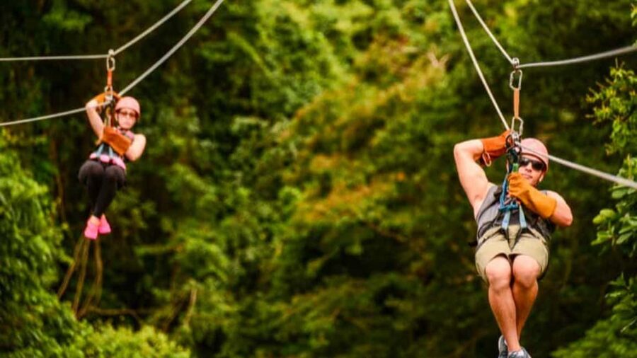 Rainforest Ziplining Adventure - What the Four-Hour Schedule Really Means