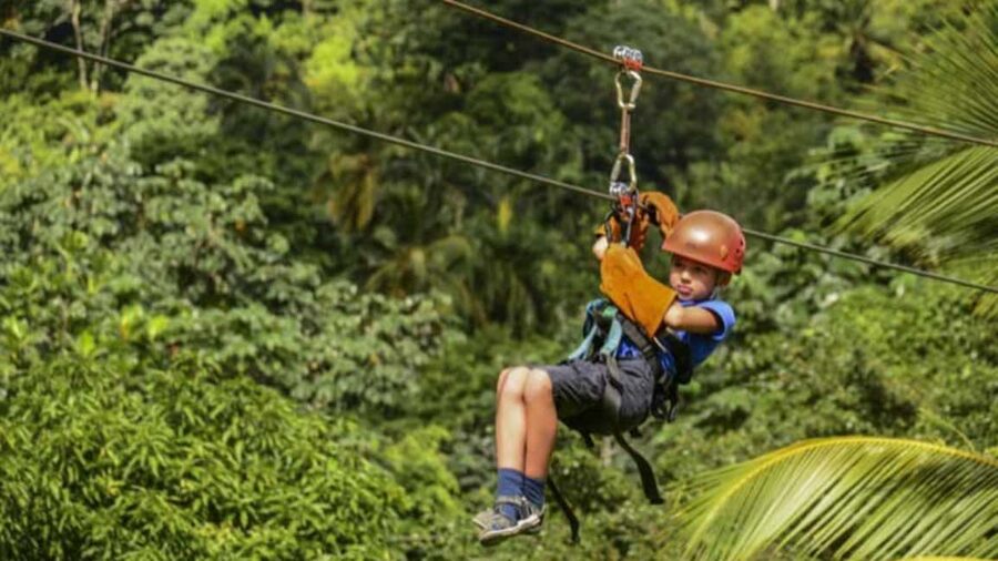 Rainforest Ziplining Adventure - How Much Value Do You Get for $80?