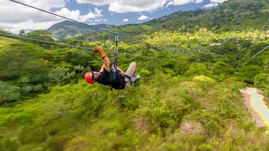 Rainforest Ziplining Adventure - Languages, Cancellation, and Booking Flexibility