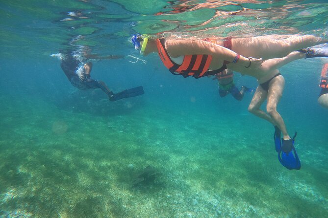 Reef Snorkeling with ATV, Zipline, Cenote that includes lunch and transportation - What This Cancun Adventure Actually Includes