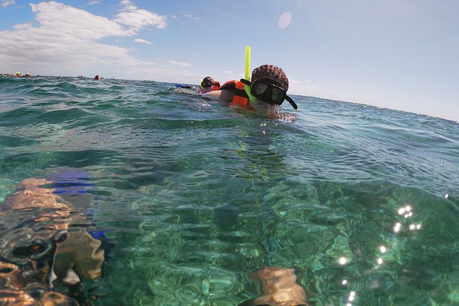 Reef Snorkeling with ATV, Zipline, Cenote that includes lunch and transportation - Puerto Morelos Town and the Beachside Food Stop