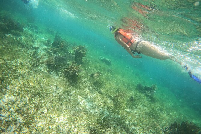Reef Snorkeling with ATV, Zipline, Cenote that includes lunch and transportation - The Cenote Platform Jump