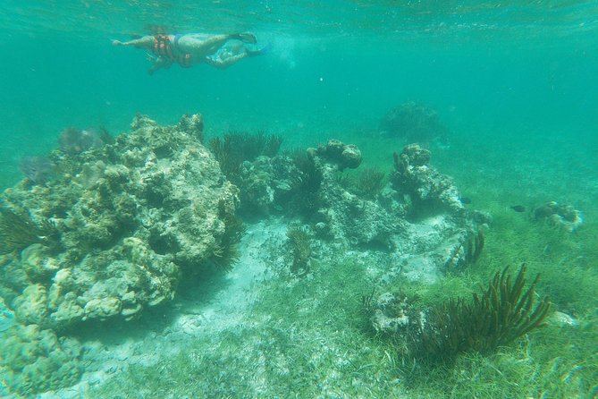 Reef Snorkeling with ATV, Zipline, Cenote that includes lunch and transportation - Who Will Like This Tour Most