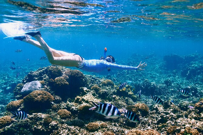 Reef Snorkeling with ATV, Zipline, Cenote that includes lunch and transportation - Puerto Morelos Reef: The Strongest Part of the Day