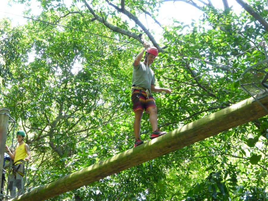 Rio de Janeiro: Zip Lining and Canopy Tree Tour - A forest adventure close to Rio