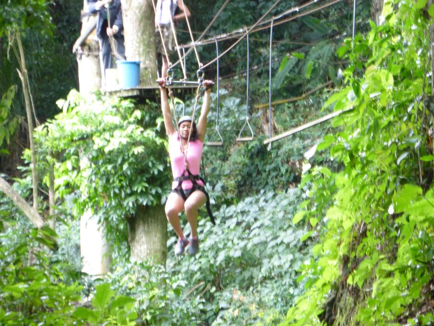 Rio de Janeiro: Zip Lining and Canopy Tree Tour - The 30-minute zipline through the canopy