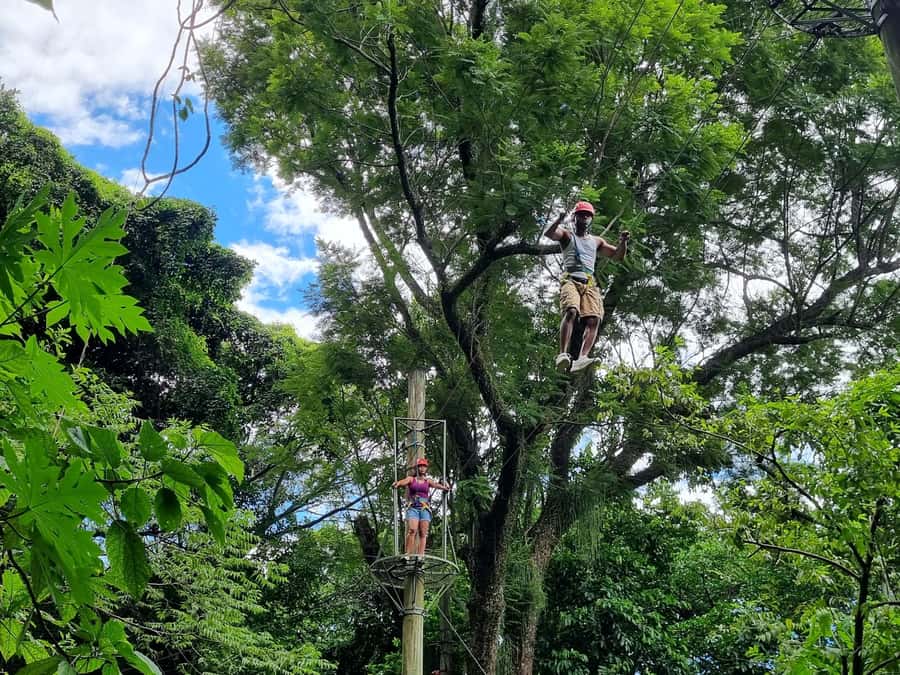 Rio de Janeiro: Zip Lining and Canopy Tree Tour - The one-hour hike and two viewpoints